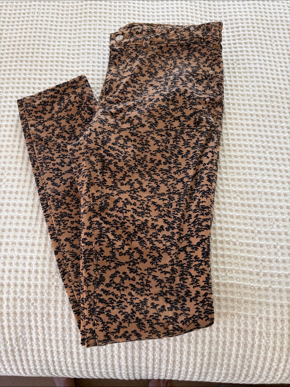 Pilcro and the Letterpress Brown & Black Printed Skinny Pants